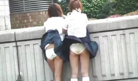 فضول بادامک NW28 فول سکسب