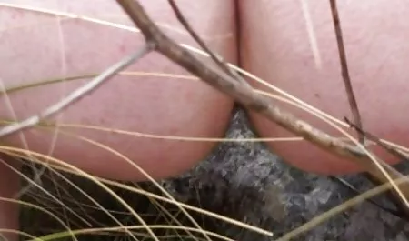 Klip (2012) سیکس فول نسخه Unut