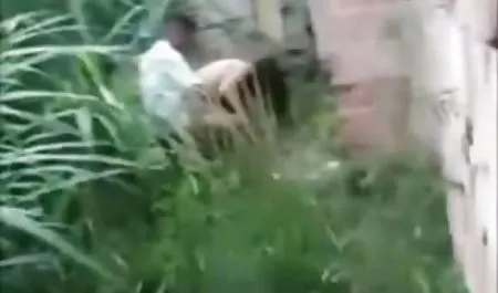 لاجورد زعفرانی پوره شاخدار شاخ سوراخهای گرسنه دانلود کلیپ سکسی فول اچ دی را لرزاند