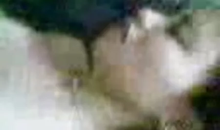 شوهر با 3 دانلودسکس فول اچ دی خروس