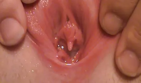 جوجه انفجار الاغش را می کشد و دانلود فیلم سکسی فول hd با اسباب بازی ها شیر می خورد