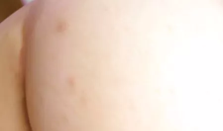 شخص ساده و معصوم کره ای ، بیدمشک سکس فول اچ تی او سخت و سریع سر خورد