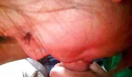 روچل سوانسون ، شانون سکس فول اچ تی توئید - 